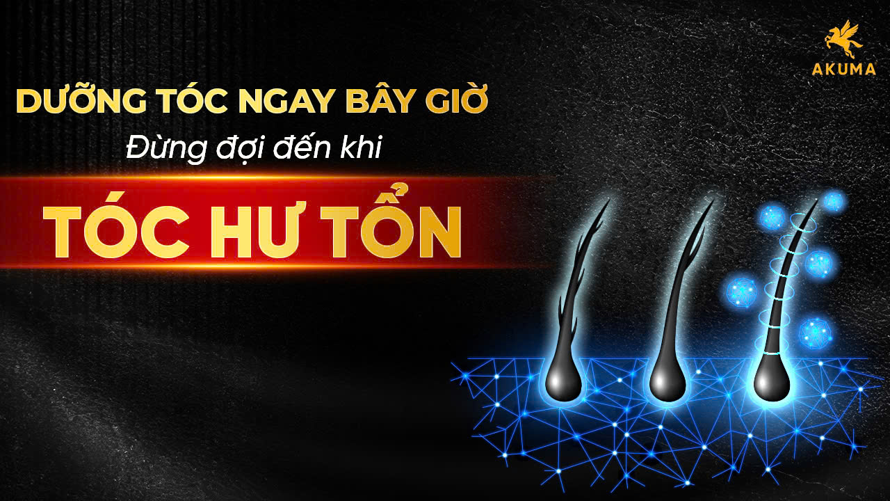 Dưỡng tóc ngay bây giờ, đừng đợi đến khi tóc hư tổn!